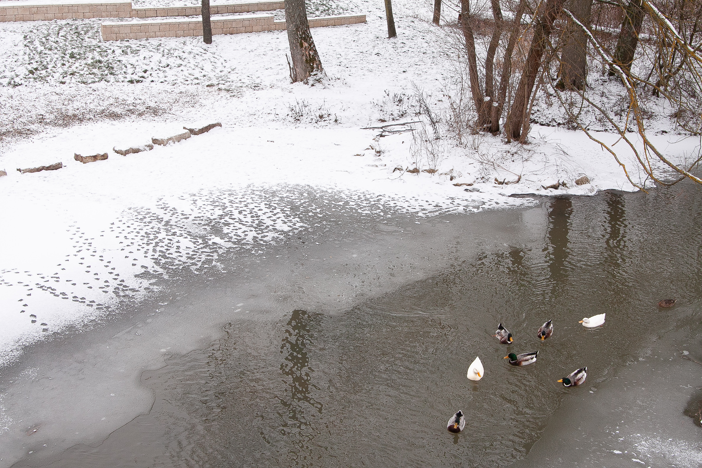 Informationsbroschüre „Tipps und Informationen für Gewässeranlieger“